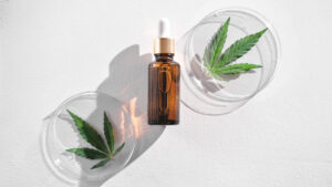 CBD oil in bottle and hemp leaves on petri dishes