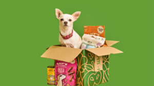 A dog sitting in a box surrounded by Lily's Kitchen products