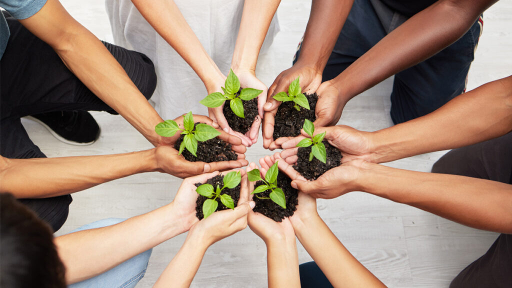 Diverse group of people holding seedlings to be planted